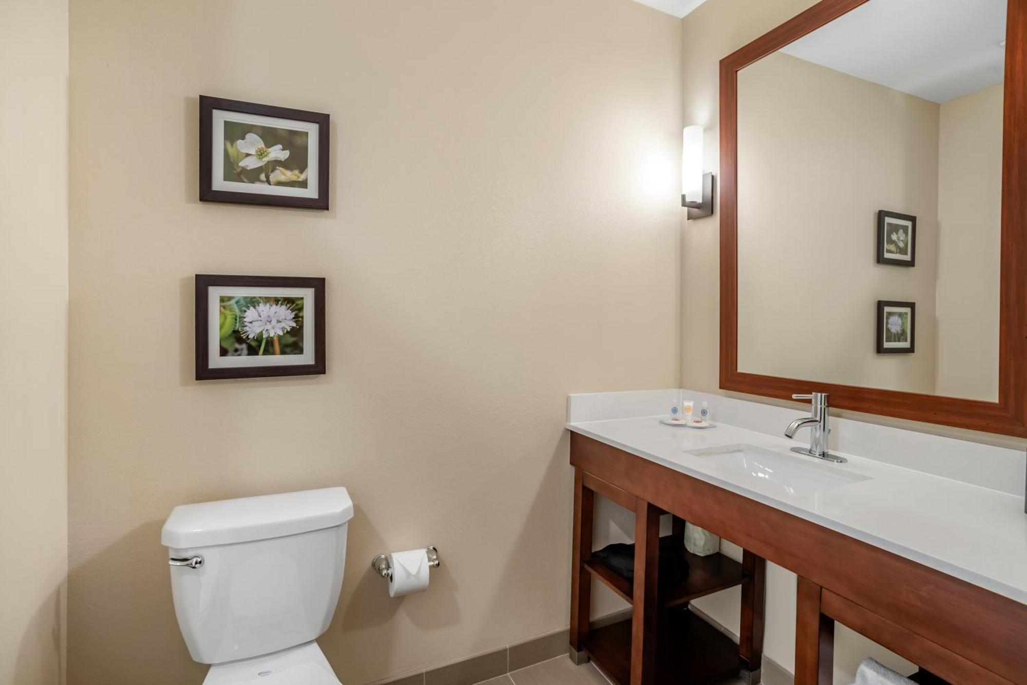 Comfort Inn&Suites Winchester Rom bilde